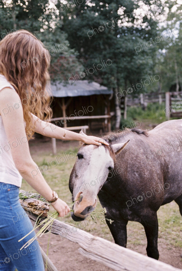 Woman feeding a horse in a paddock.