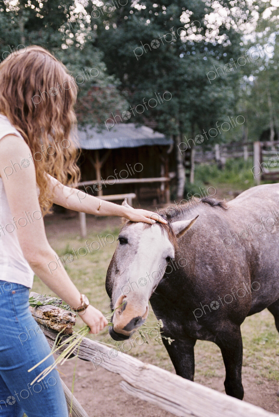 Woman feeding a horse in a paddock.