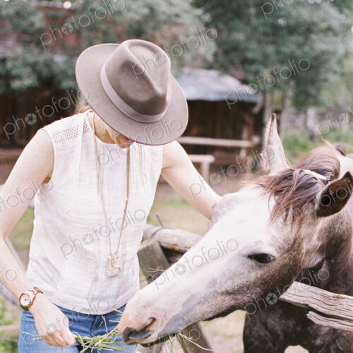 Woman feeding a horse in a paddock. Woman feeding a horse in a paddock.
