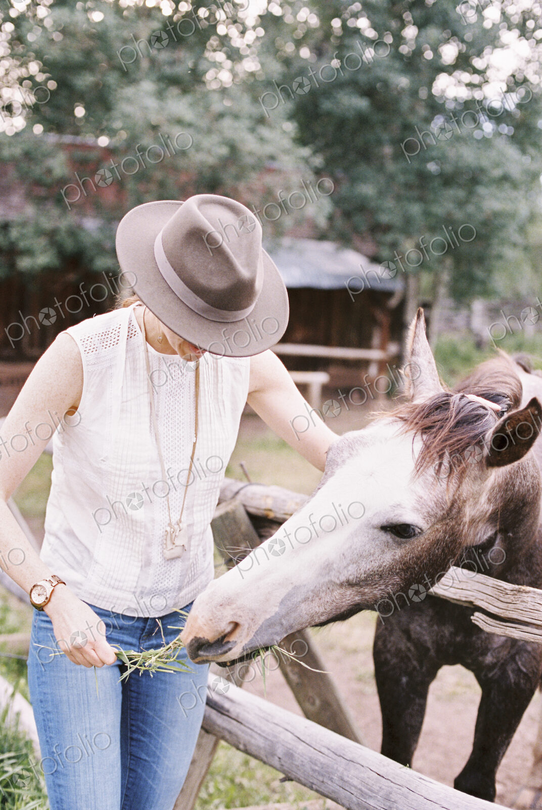 Woman feeding a horse in a paddock.