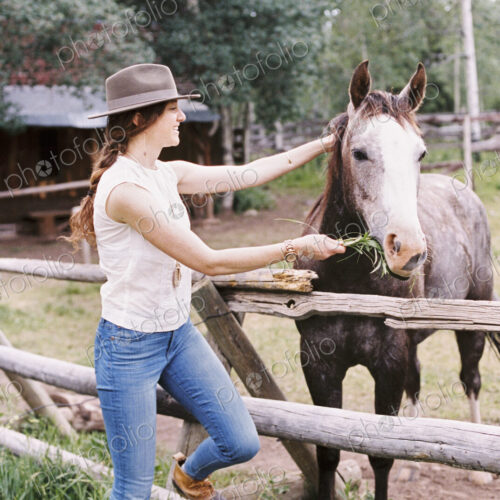 Woman feeding a horse in a paddock on a ranch. Woman feeding a horse in a paddock on a ranch.