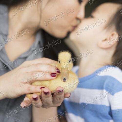Woman holding a yellow duckling in her hands, kissing her young son.