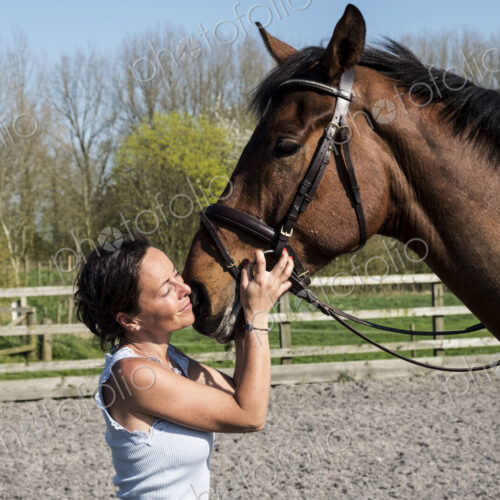Woman horse trainer standing in a paddock, holding a bay brown horse by the bridle Woman horse trainer standing in a paddock, holding a bay brown horse by the bridle