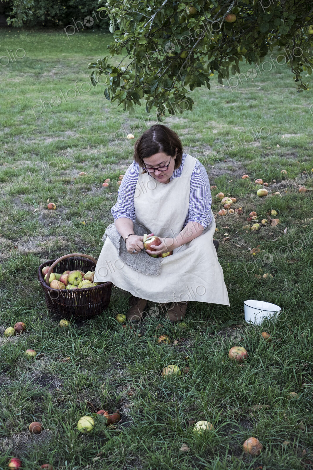 Woman sitting in an orchard under apple tree next to brown wicker basket with freshly…