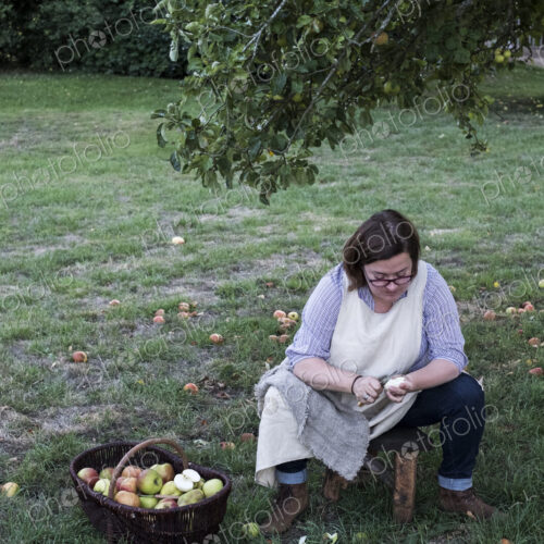 Woman sitting in an orchard under apple tree next to brown wicker basket with freshly…