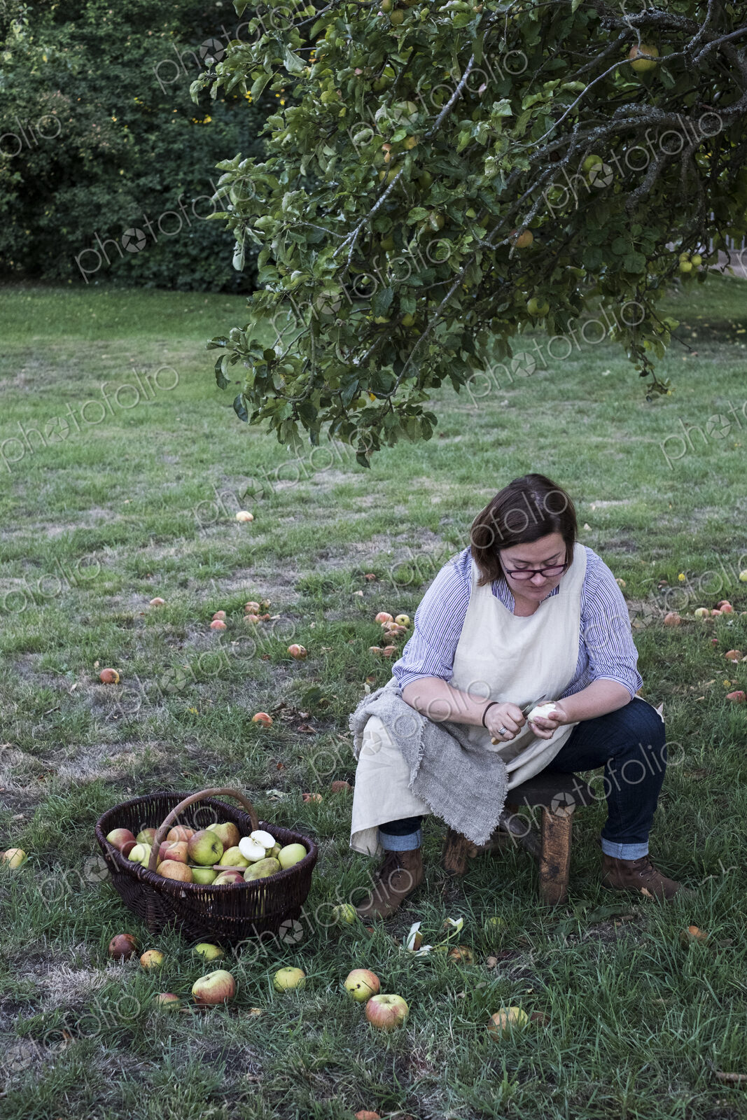 Woman sitting in an orchard under apple tree next to brown wicker basket with freshly…