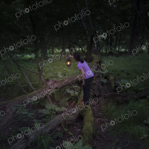 Woman standing on wooden fence in a forest holding a lamp in the dusk.