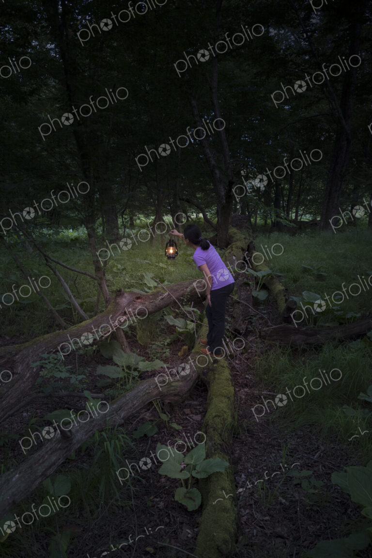 Woman standing on wooden fence in a forest holding a lamp in the dusk.