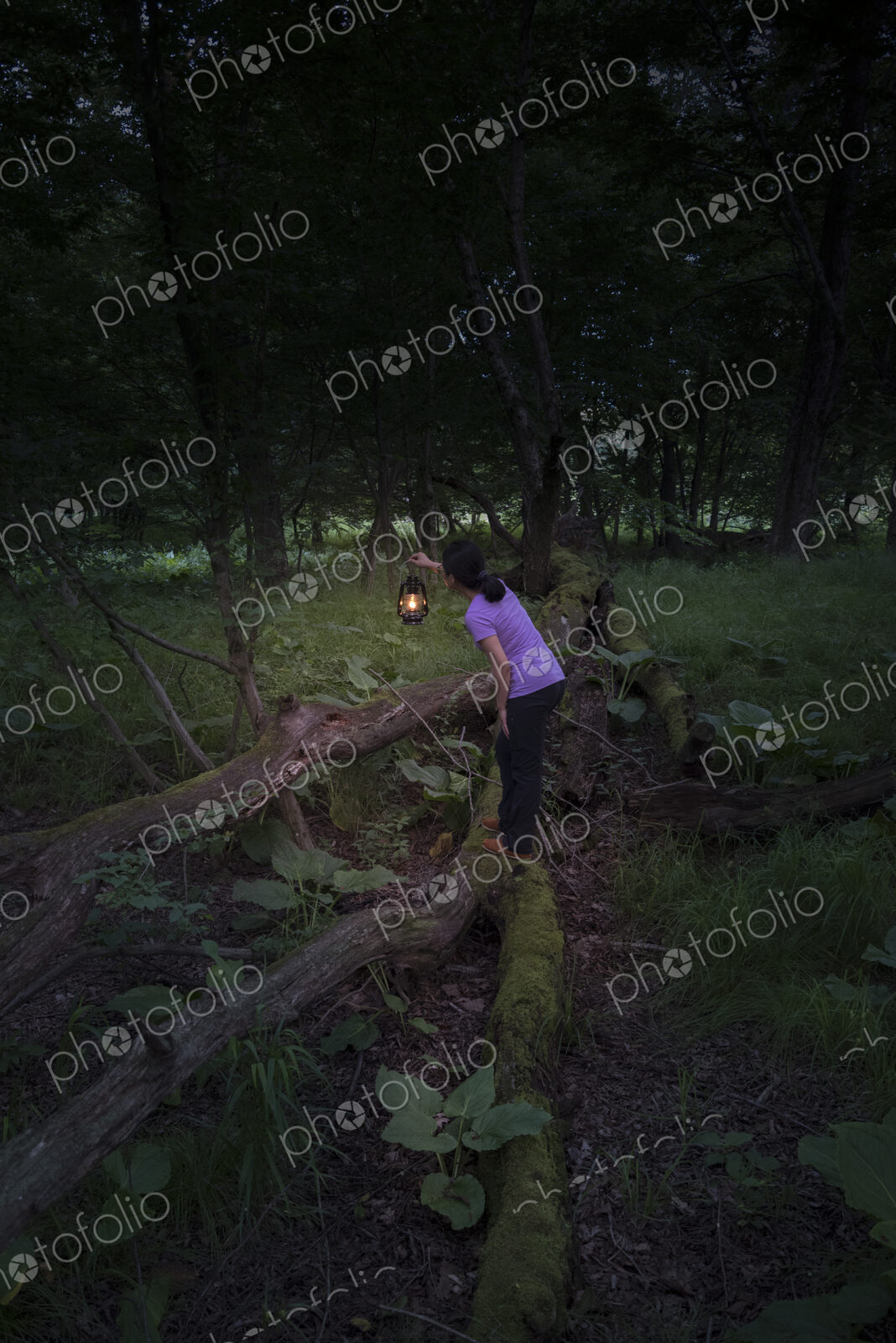 Woman standing on wooden fence in a forest holding a lamp in the dusk.