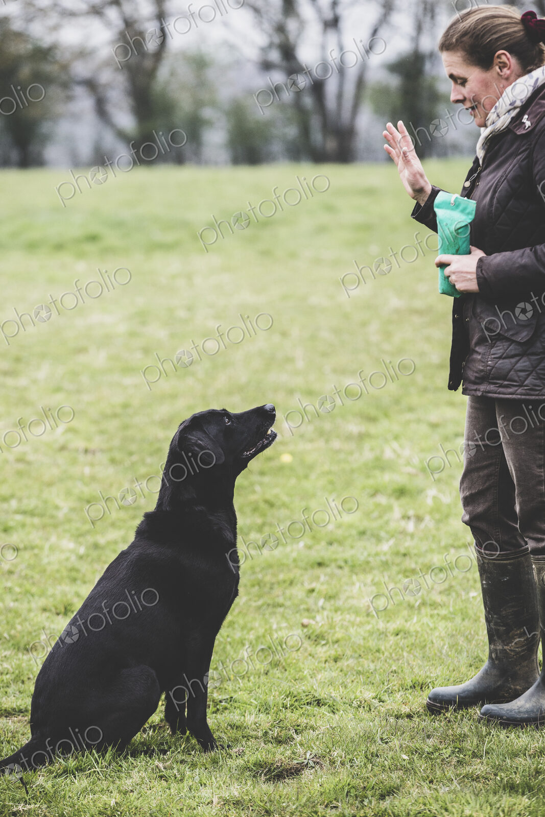 Woman standing outdoors in a field, a dog trainer giving hand command to Black…