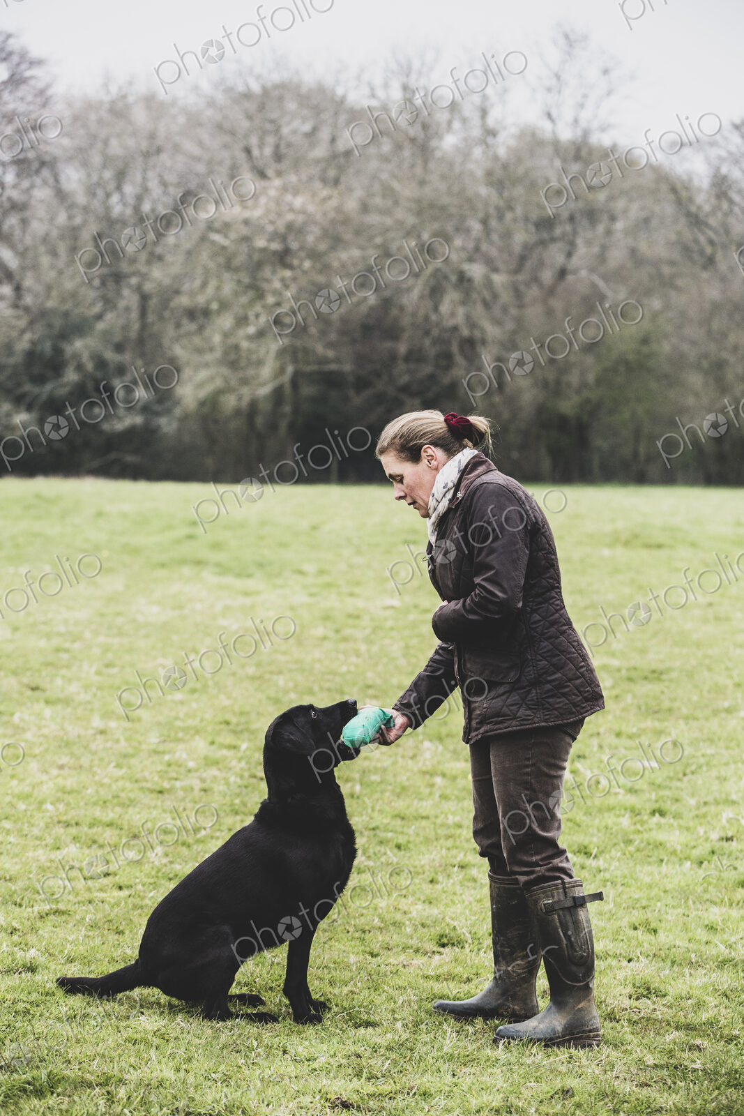 Woman standing outdoors in a field giving a green toy to Black Labrador dog.