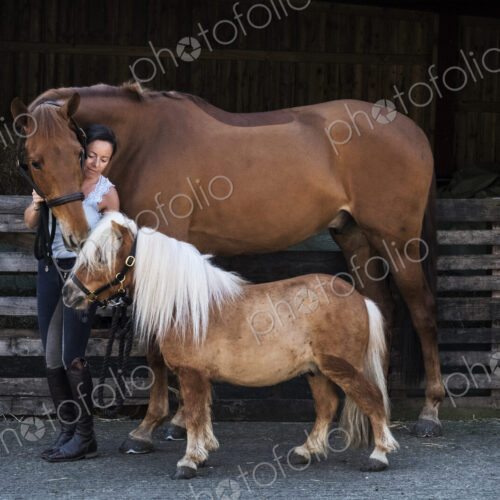 Woman standing outside stable, holding brown horse and a Shetland pony by their bridles. Woman standing outside stable, holding brown horse and a Shetland pony by their bridles.