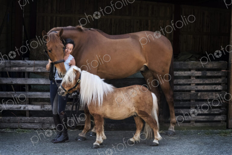 Woman standing outside stable, holding brown horse and a Shetland pony by their bridles.
