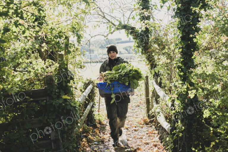 Woman walking towards camera, carrying blue crate with freshly harvested vegetables.