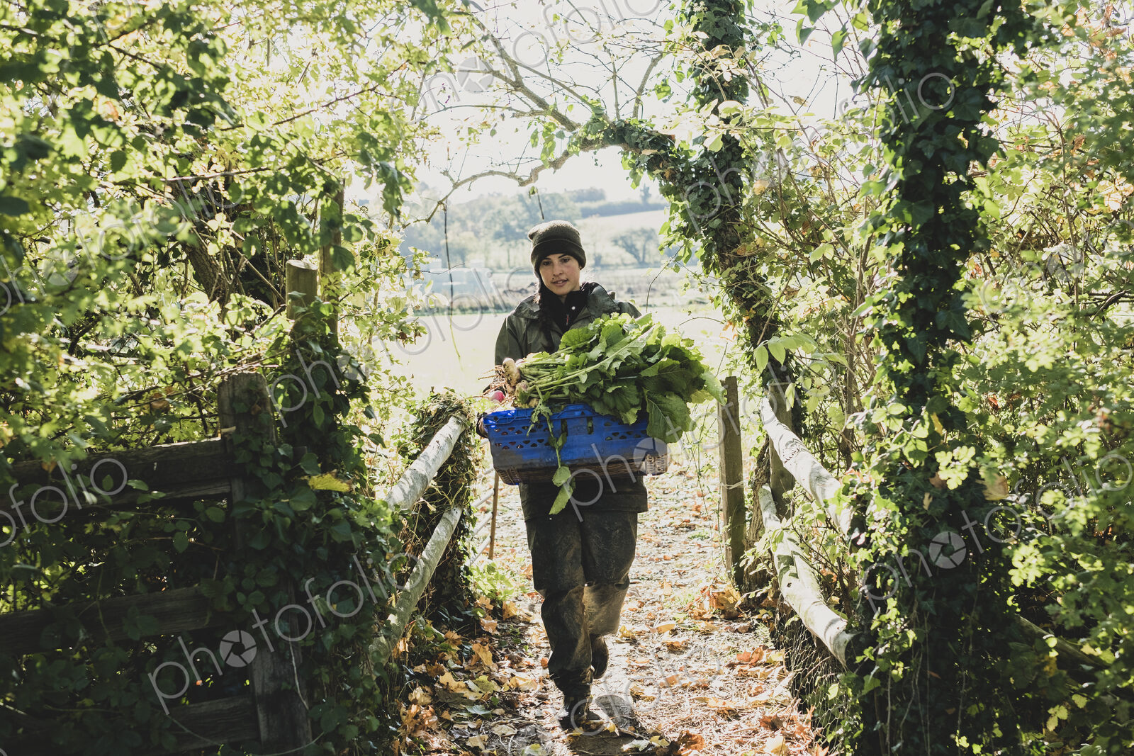 Woman walking towards camera, carrying blue crate with freshly harvested vegetables.