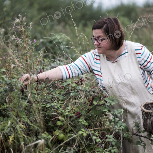 Woman wearing apron holding brown wicker basket, picking blackberries.