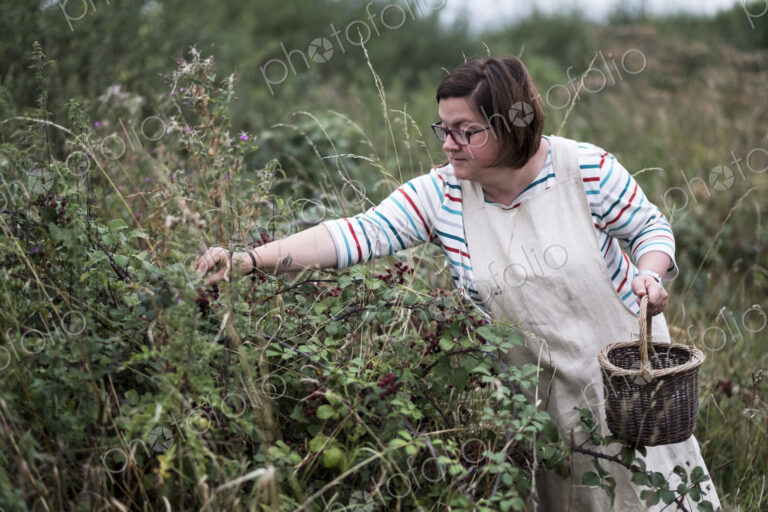 Woman wearing apron holding brown wicker basket, picking blackberries.
