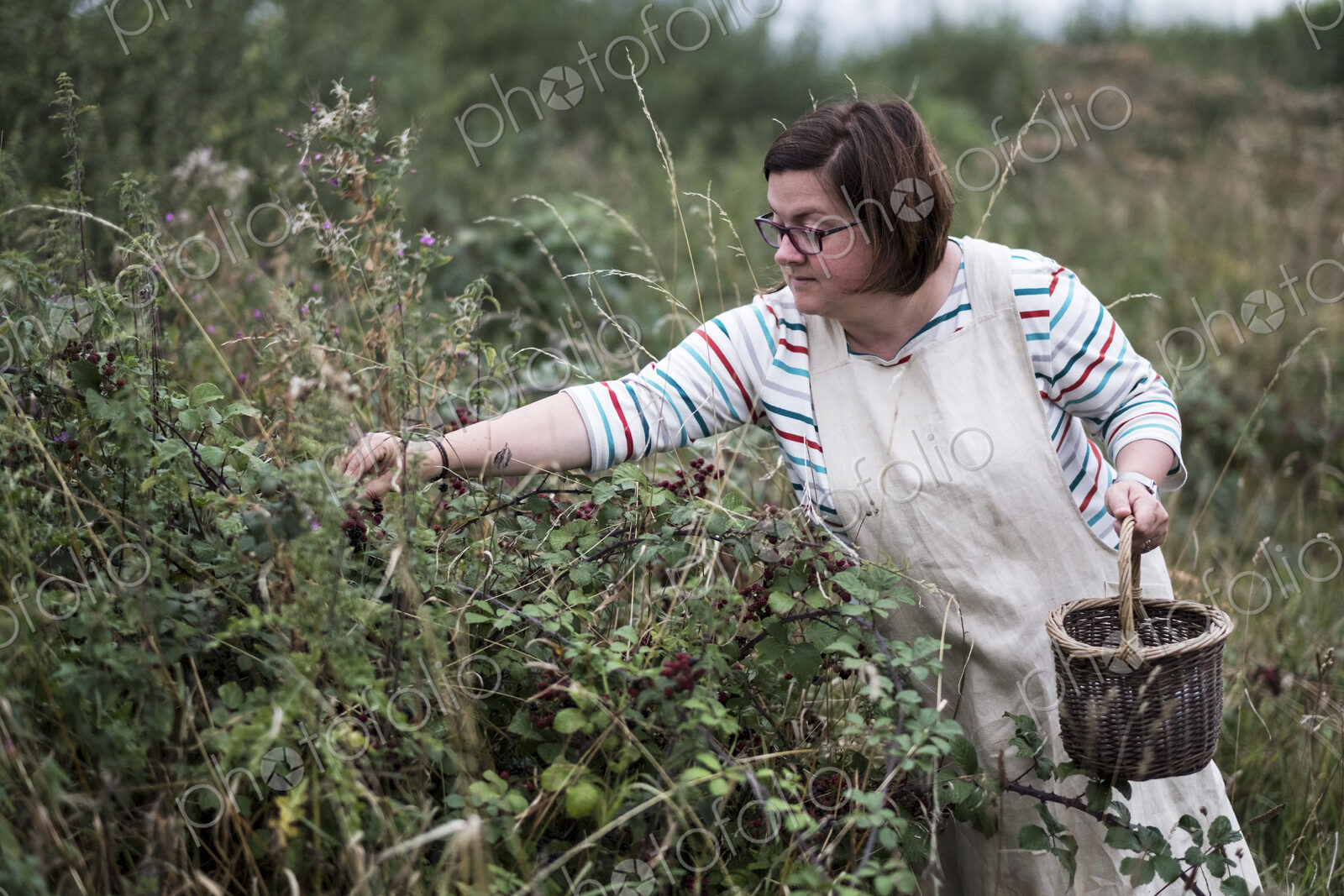 Woman wearing apron holding brown wicker basket, picking blackberries.