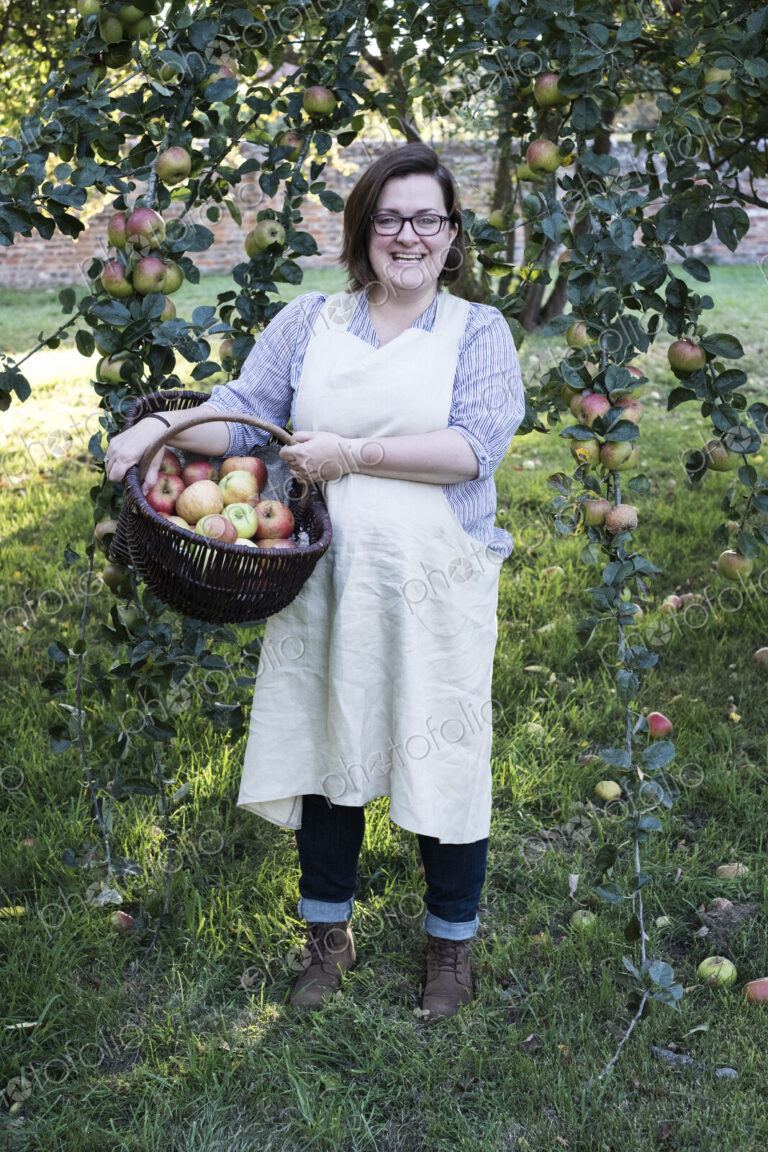Woman wearing apron holding brown wicker basket with freshly picked apples, smiling at…
