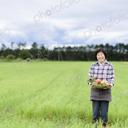 Woman with black hair wearing checkered shirt standing in a field, holding basket with… Woman with black hair wearing checkered shirt standing in a field, holding basket with…