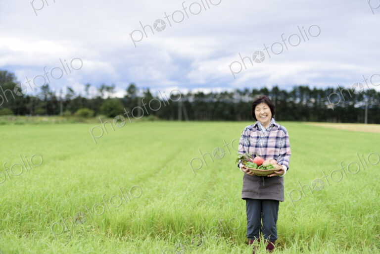 Woman with black hair wearing checkered shirt standing in a field, holding basket with…