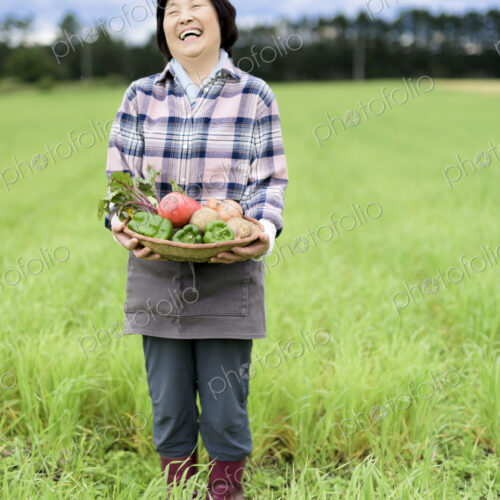 Woman with black hair wearing checkered shirt standing in a field, holding basket with… Woman with black hair wearing checkered shirt standing in a field, holding basket with…