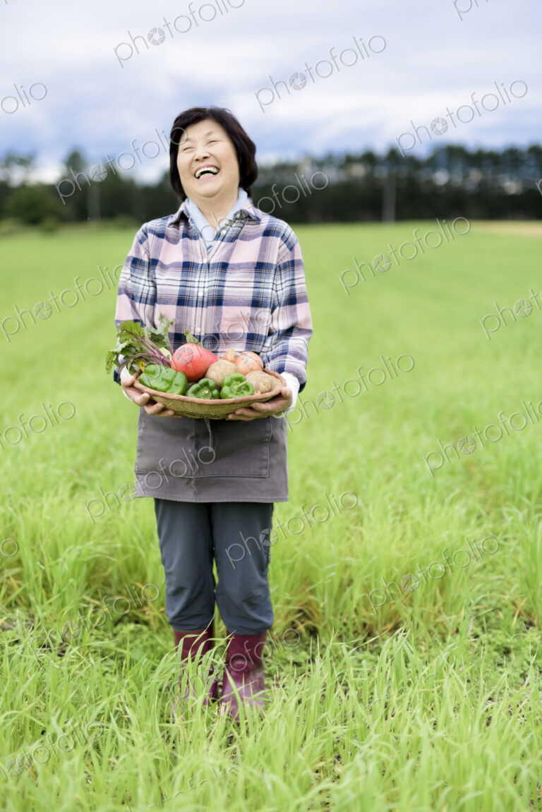 Woman with black hair wearing checkered shirt standing in a field, holding basket with…