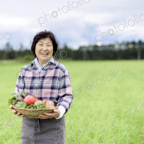 Woman with black hair wearing checkered shirt standing in a field, holding basket with… Woman with black hair wearing checkered shirt standing in a field, holding basket with…