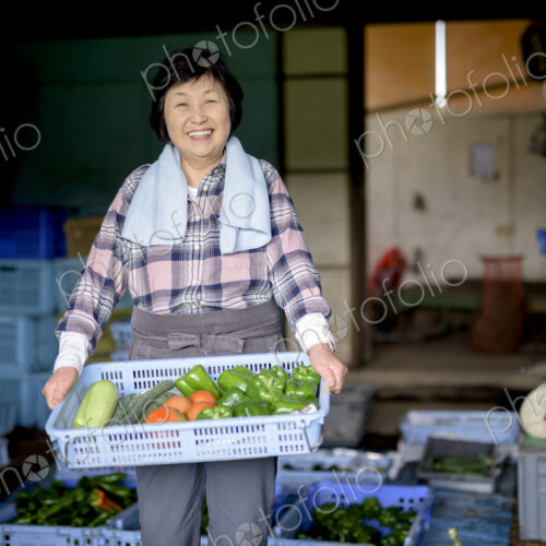 Woman with black hair wearing checkered shirt standing in front of barn, holding blue… Woman with black hair wearing checkered shirt standing in front of barn, holding blue…