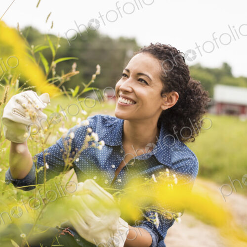 Woman working on an organic farm. Wearing gloves.s Admiring tall flowering plants. Woman working on an organic farm. Wearing gloves.s Admiring tall flowering plants.