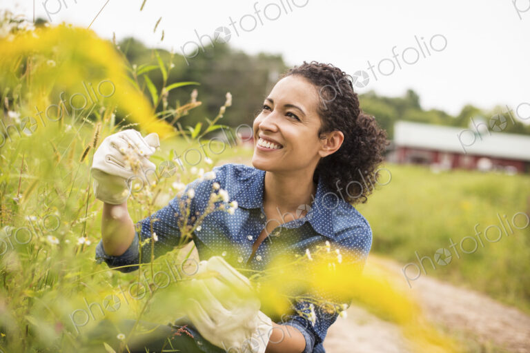 Woman working on an organic farm. Wearing gloves.s Admiring tall flowering plants.