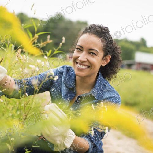 Woman working on an organic farm. Wearing gloves.s Admiring tall flowering plants. Woman working on an organic farm. Wearing gloves.s Admiring tall flowering plants.