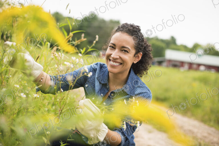 Woman working on an organic farm. Wearing gloves.s Admiring tall flowering plants.