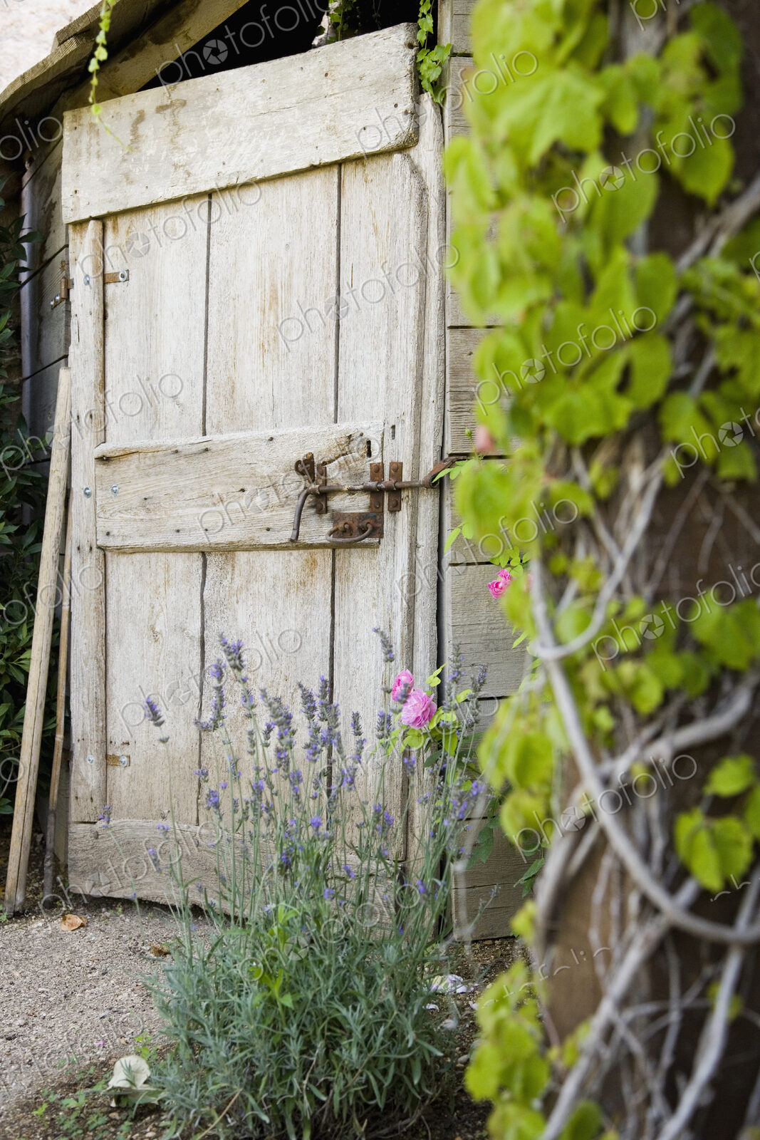 Wood Door and Garden