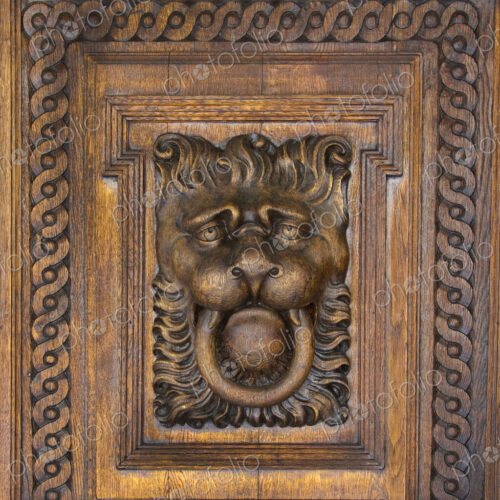 Wood Lion Face Wood Lion Face