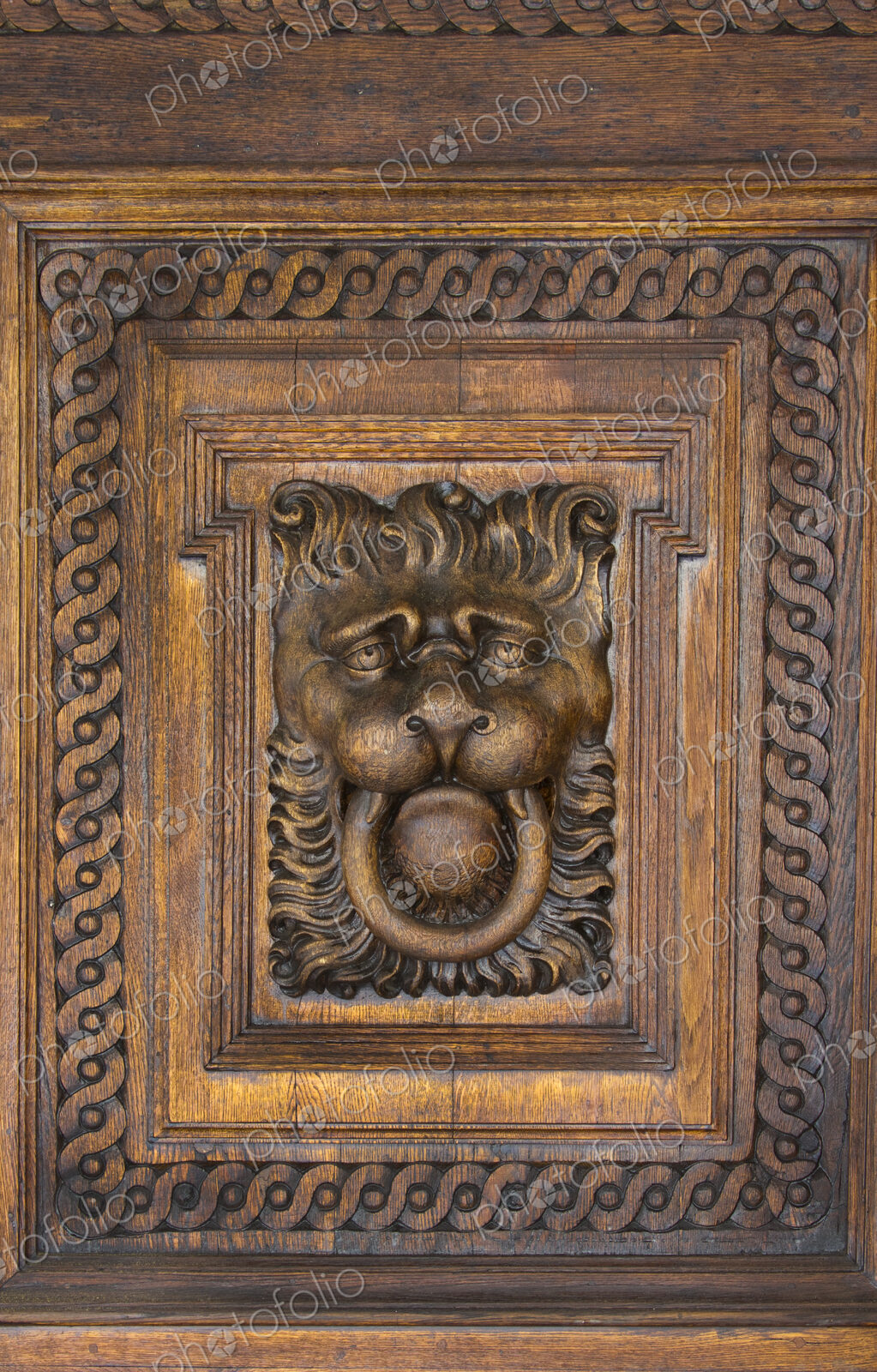 Wood Lion Face