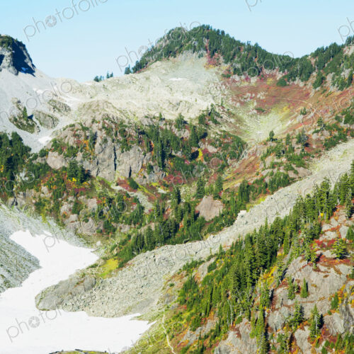 Wooded hillside on glacier in Mt. Baker-Snoqualmie National Forest.