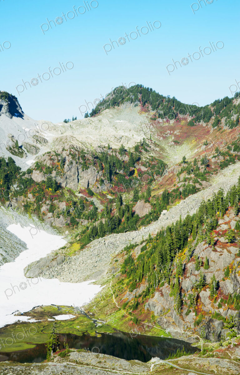 Wooded hillside on glacier in Mt. Baker-Snoqualmie National Forest.