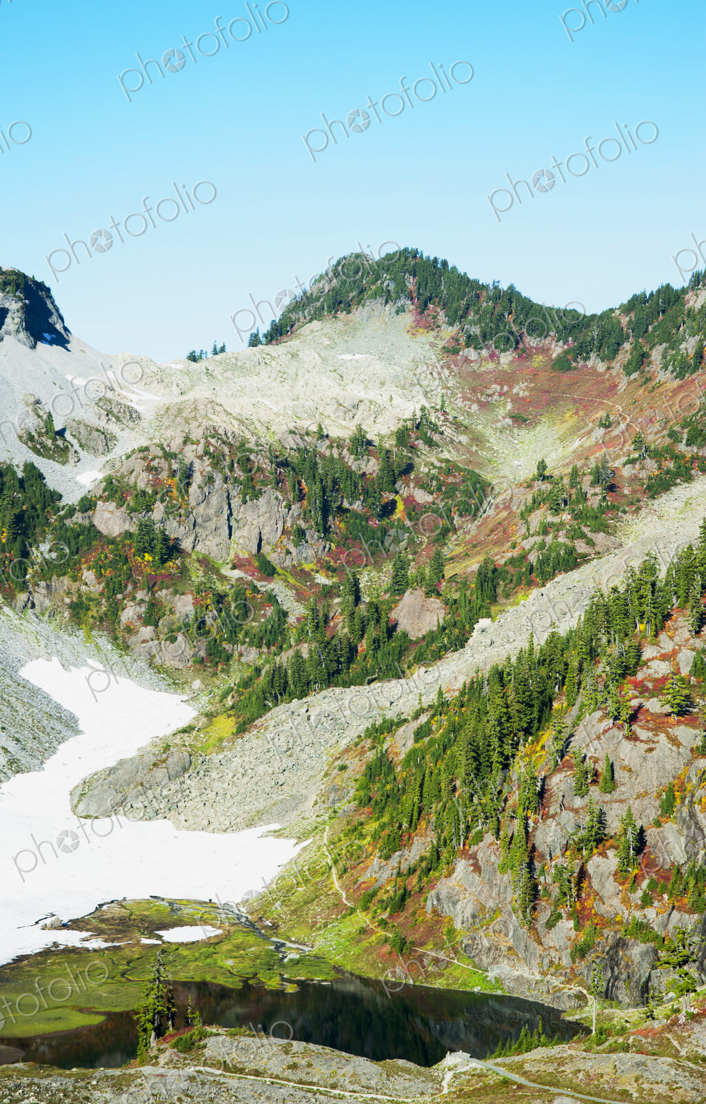 Wooded hillside on glacier in Mt. Baker-Snoqualmie National Forest.
