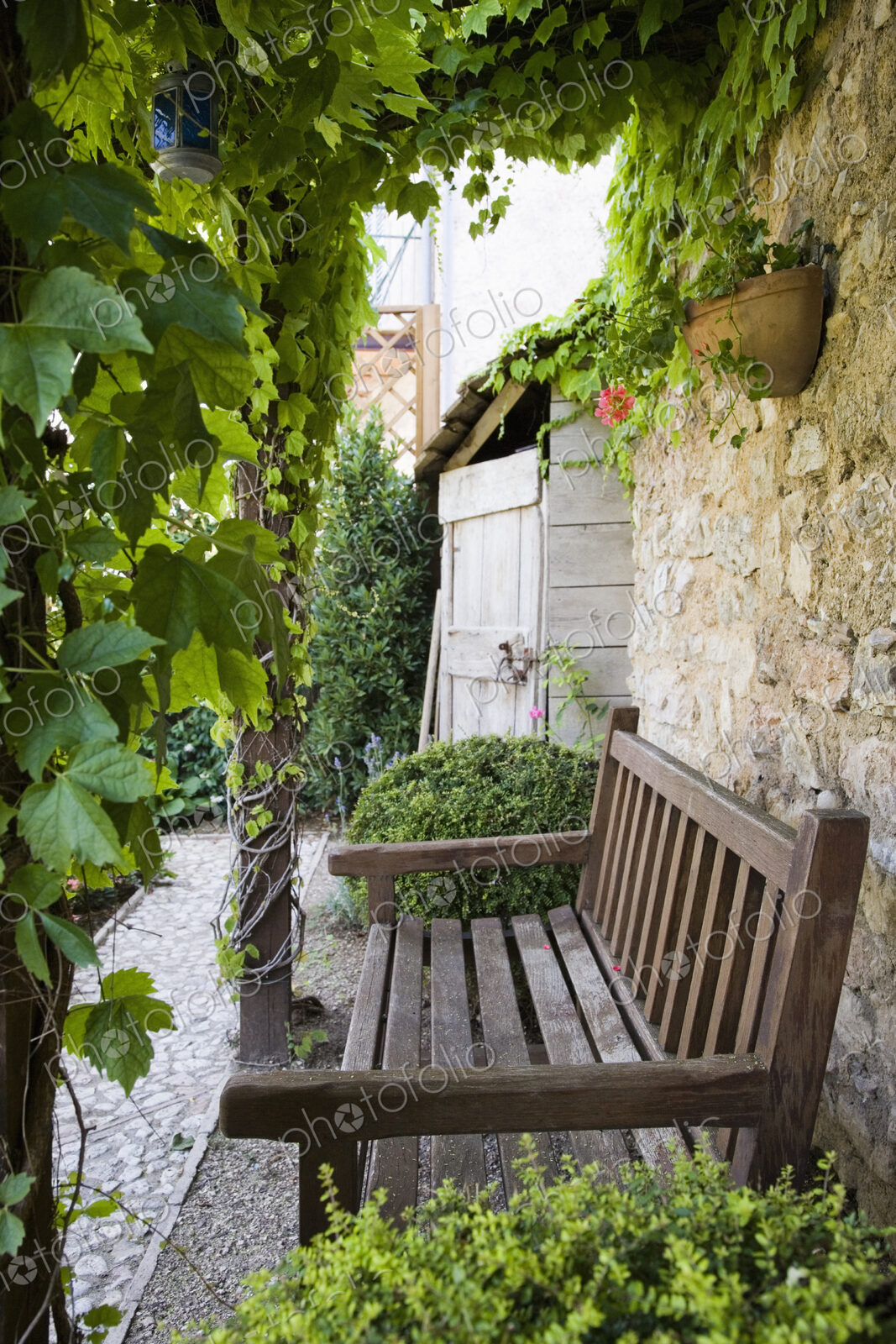 Wooden Bench in Garden