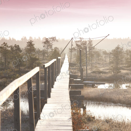 Wooden Boardwalk over Marsh Wooden Boardwalk over Marsh