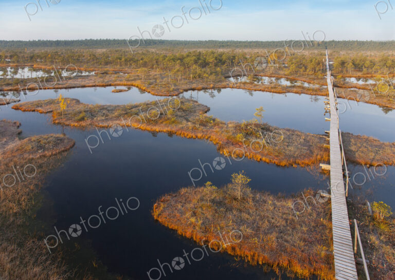 Wooden Boardwalk over Marsh