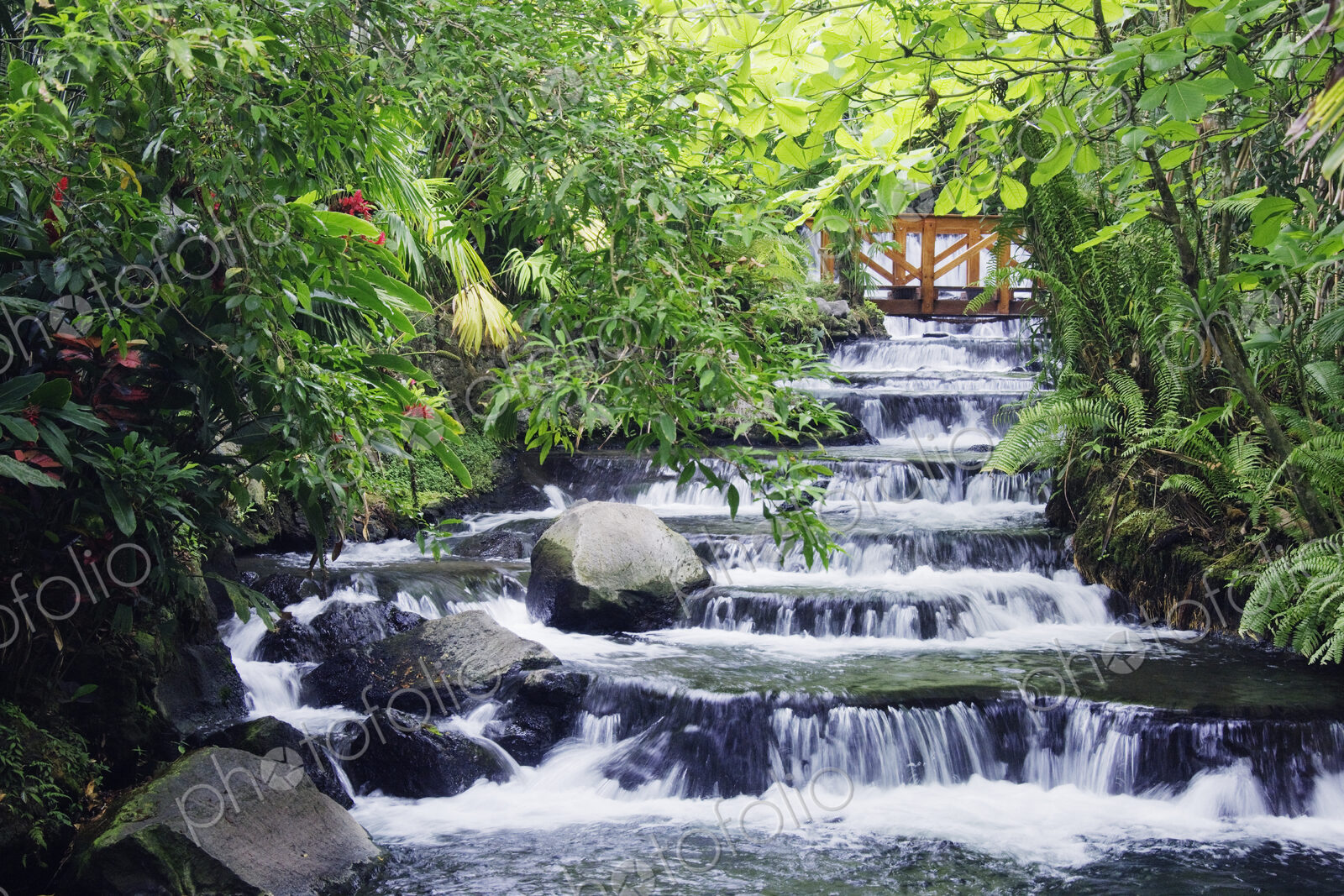 Wooden Bridge Over Stream in Forest