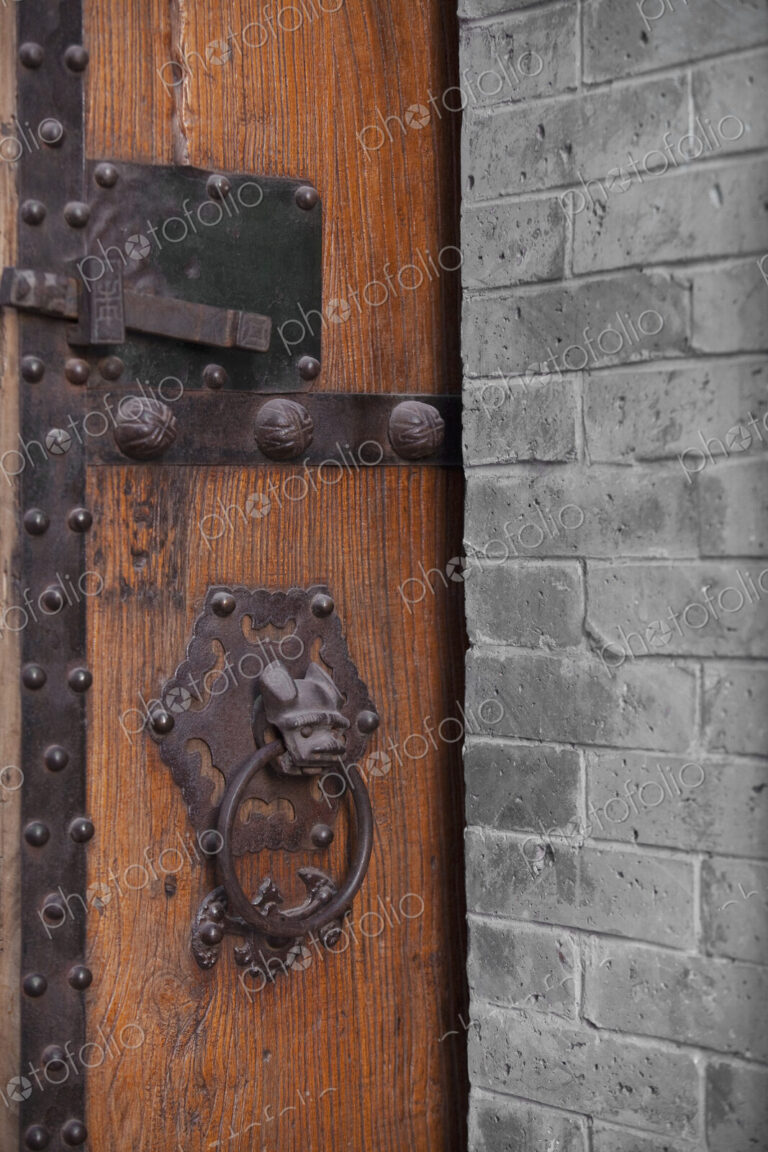 Wooden Door With Ornate Door Knocker