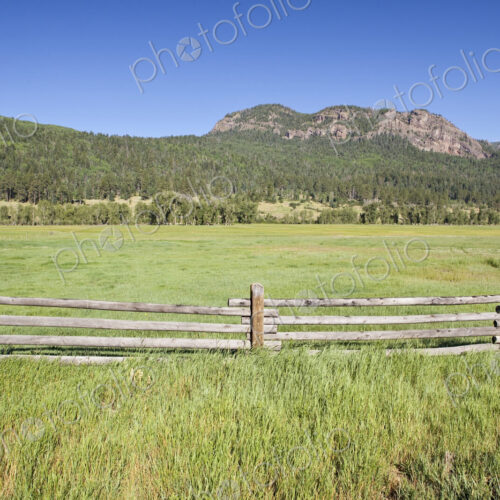 Wooden Fence and Meadow
