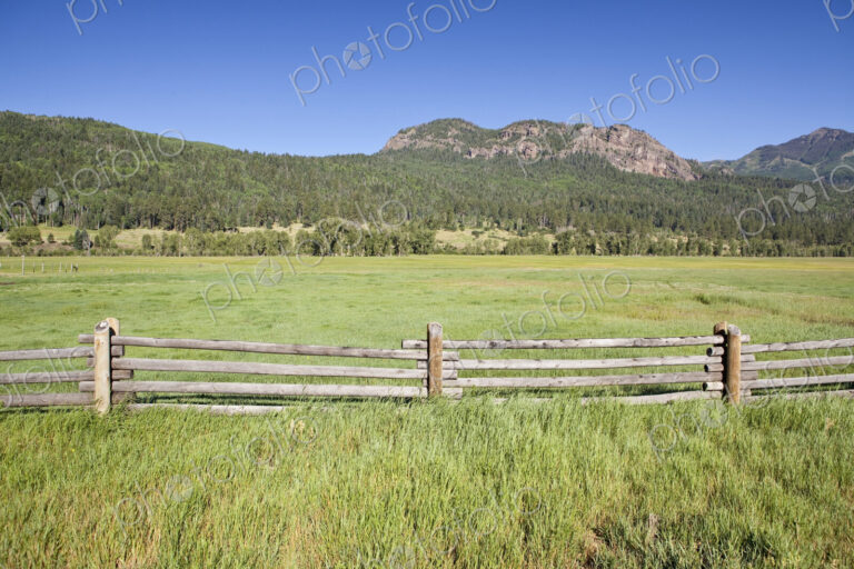 Wooden Fence and Meadow
