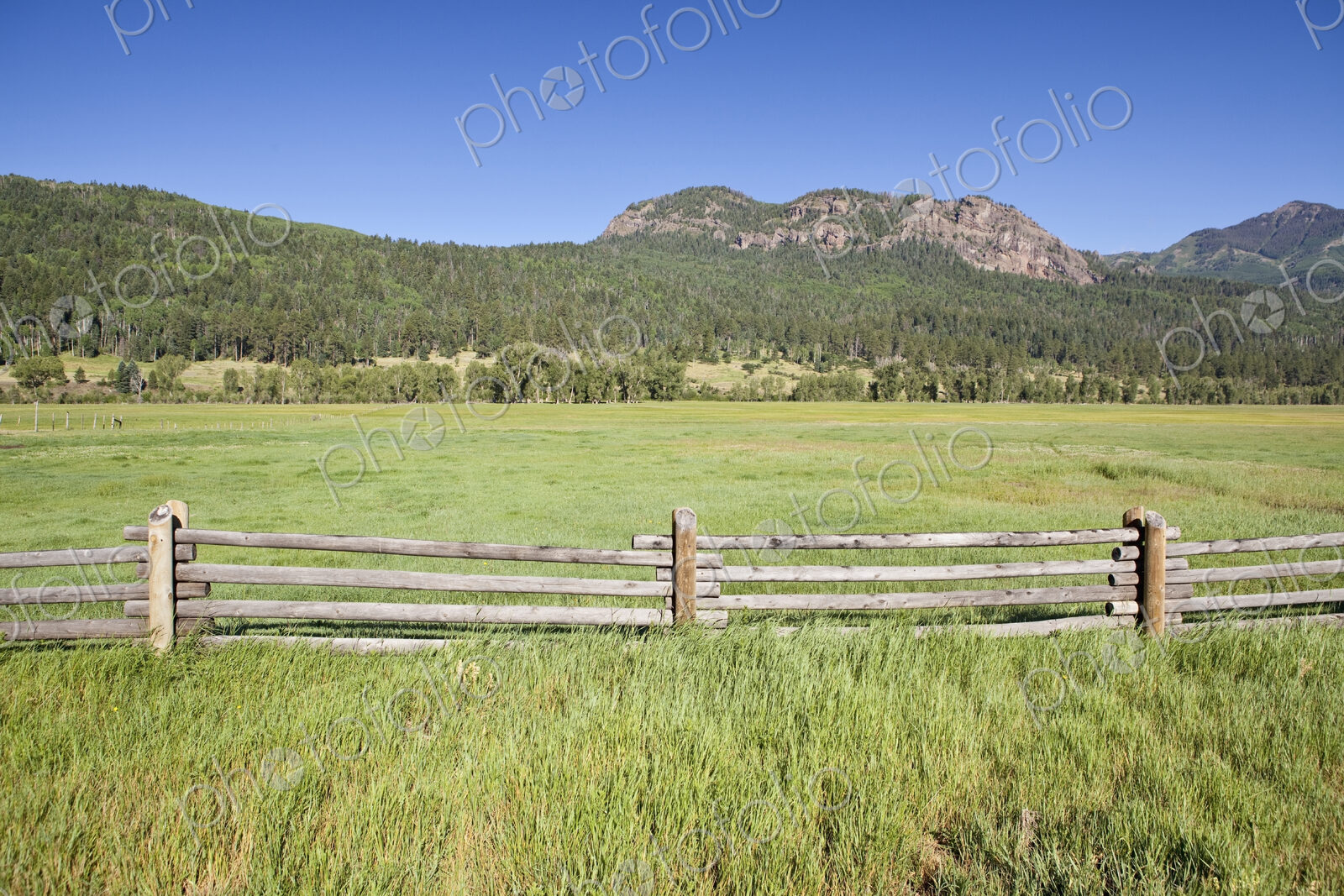 Wooden Fence and Meadow