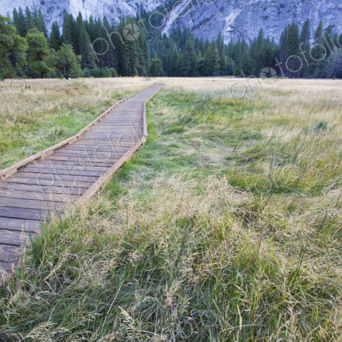 Wooden Footpath Wooden Footpath