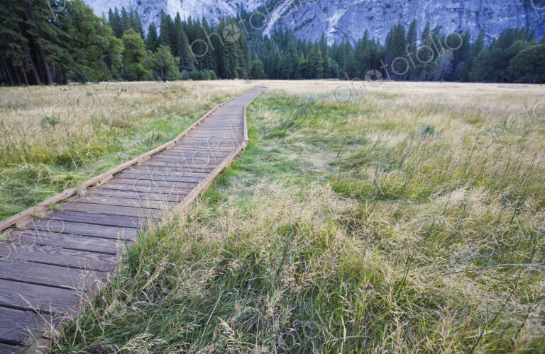 Wooden Footpath