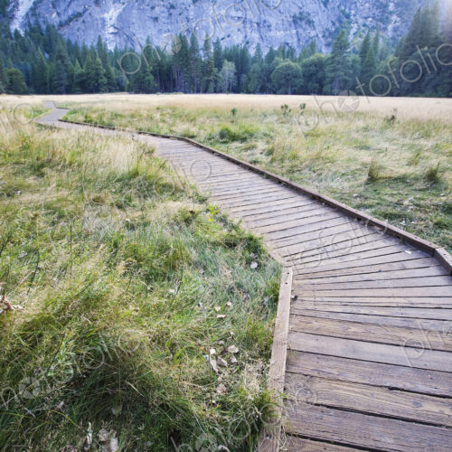 Wooden Footpath Wooden Footpath
